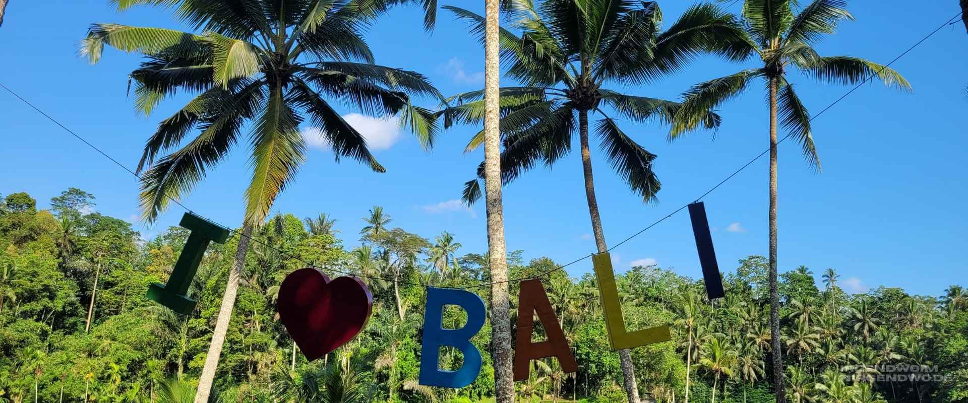 I Love Bali Schild zwischen Palmen in Reisterrassen