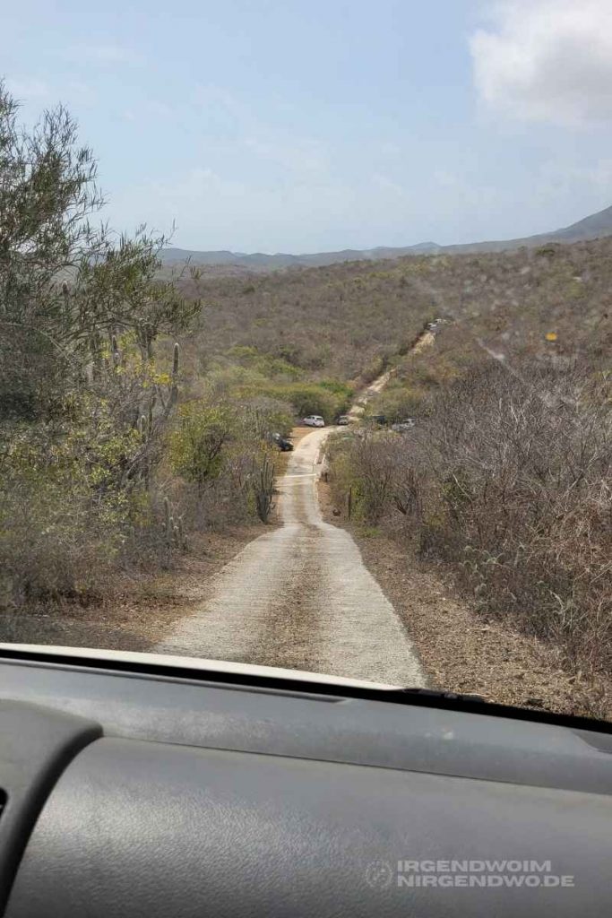 Panoramastraße im Christoffel National Park auf Curacao