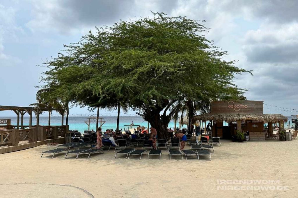 Kokomo Beach auf Curacao