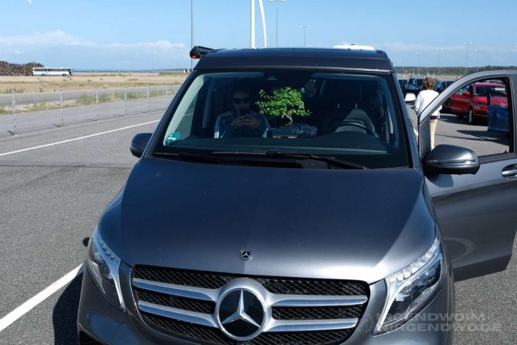 Bonsai im Camper in Dänemark