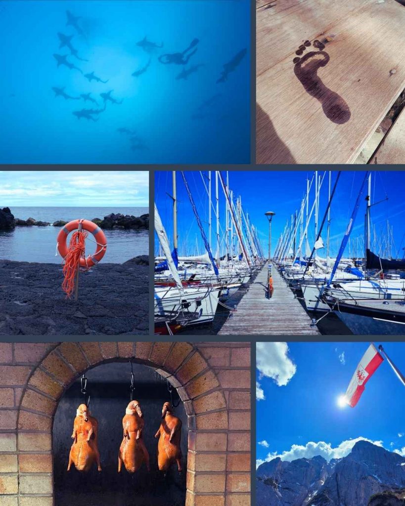 Postkarte mit verschiedenen Motiven