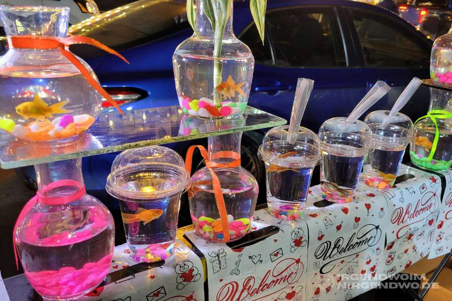 Goldfische warten auf dem Souk in Amman in transparenten Bechern auf ihre neuen Besitzer.