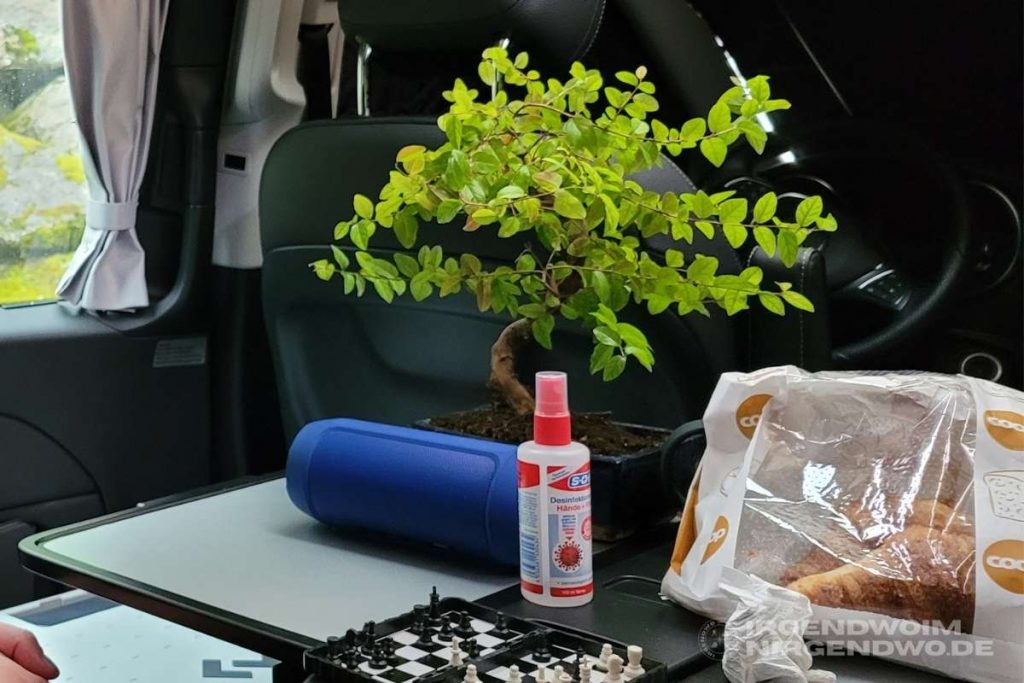Norwegen Bonsai im Camper