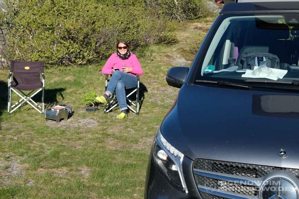 Bonsai in Norwegen beim Grillen