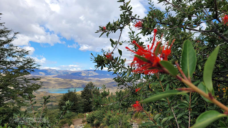 Blick in die Landschaft auf dem Rückweg vom Base de las Torres Hike im Torres del Paine Nationalpark in Chile