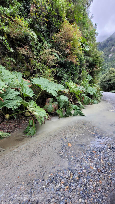 Wasser steht auf der Schotterstraße Carretera Austral / Ruta 7 in Chile