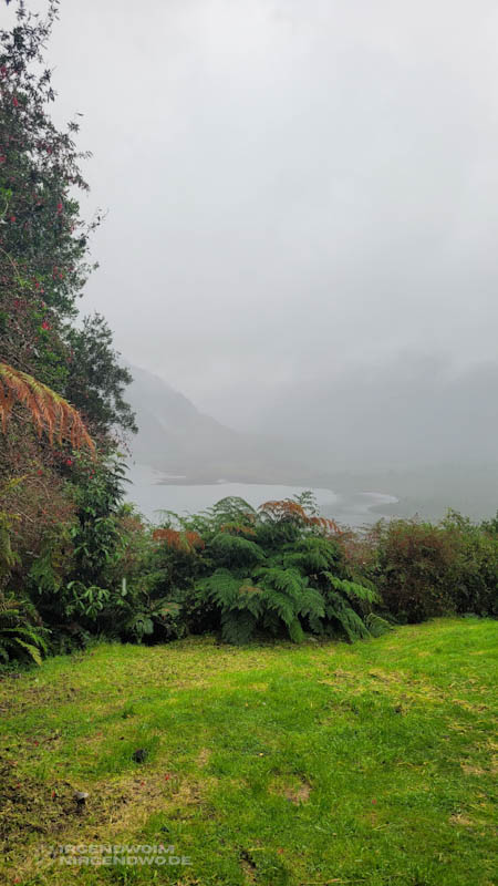 Wolkenverhangene Landschaft und Regen, davor grüne Pflanzen