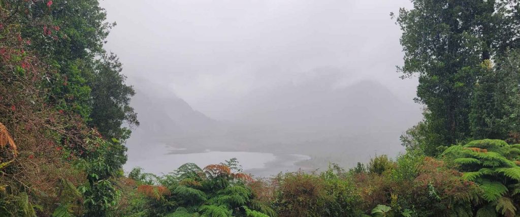 Aussichtspunkt mit Nebel, Wolken und Regen, davor und seitlich Pflanzen