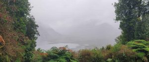 Carretera Austral: 50 Shades of Grey