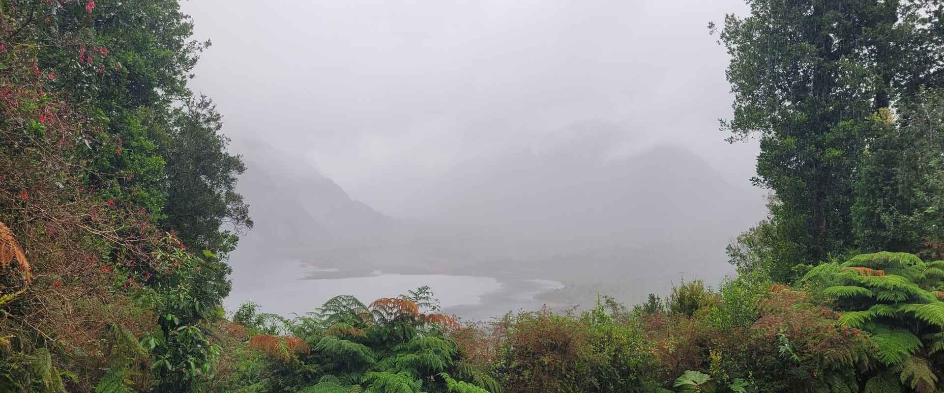 Aussichtspunkt mit Nebel, Wolken und Regen, davor und seitlich Pflanzen