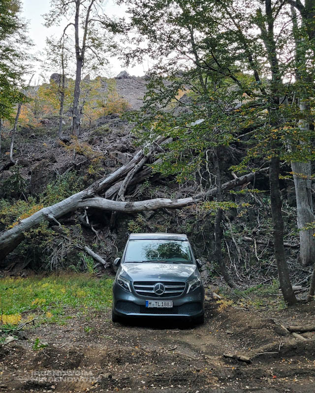 Mercedes Marco Polo Campervan auf einem Parkplatz im Wald